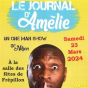 One man show de l'humoriste Nilson : Le journal d'Amélie