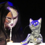 Conte musical : Les contes de l'oiseau bleu