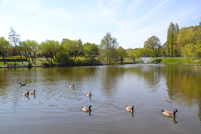 Eaubonne - bassin des Moulinets