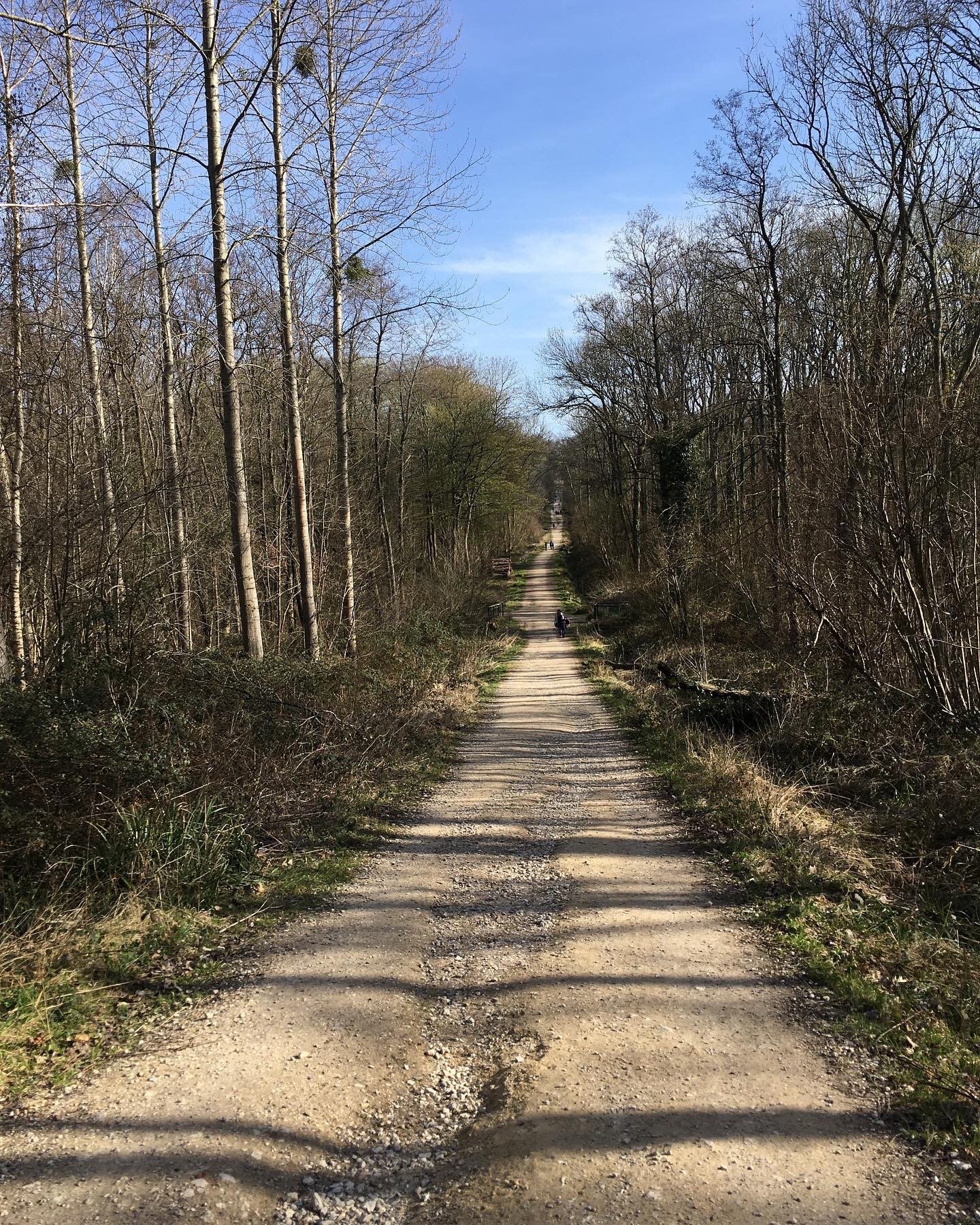 Forêt de Montmorency