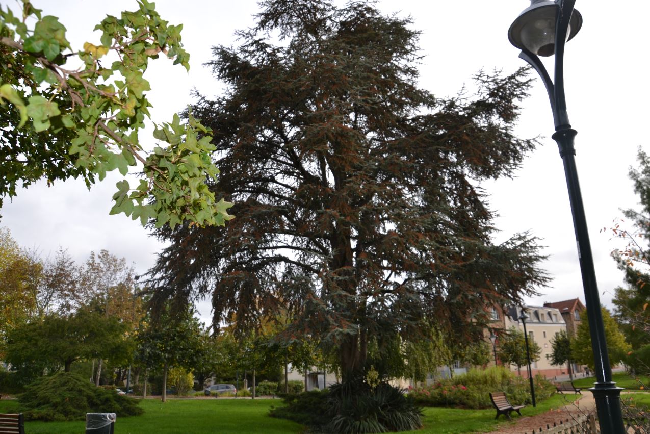 Parc urbain à Saint-Gratien