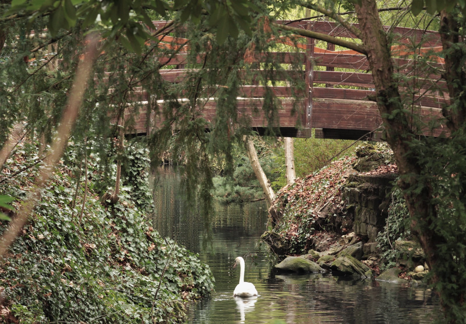 Parc du Cadet de Vaux à Franconville (janvier 2022 - photo de Patrick Danielou)