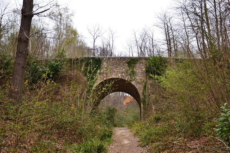 Le Pont du Diable dans la Forêt de Montmorency (Avril 2022)