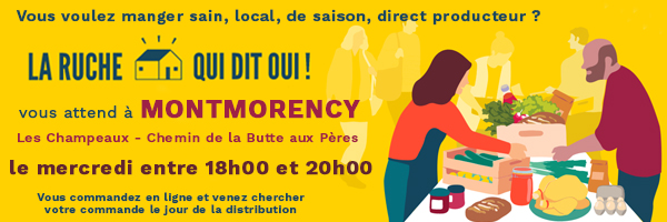 RUCHE QUI DIT OUI - MONTMORENCY